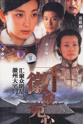 徽娘宛心第07集