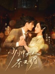 少帅夫人茶又媚第05集