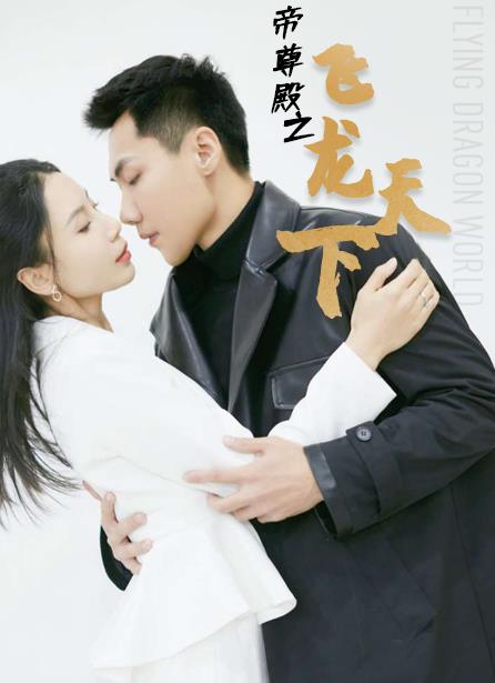 帝尊殿之飞龙天下第01集