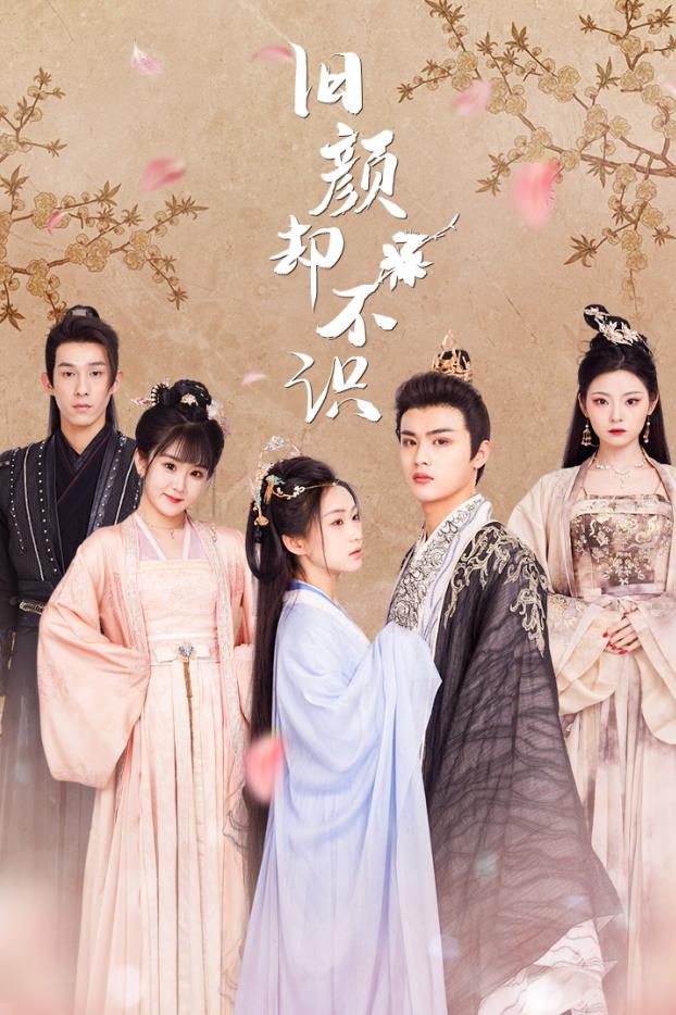 旧颜却不识第20集