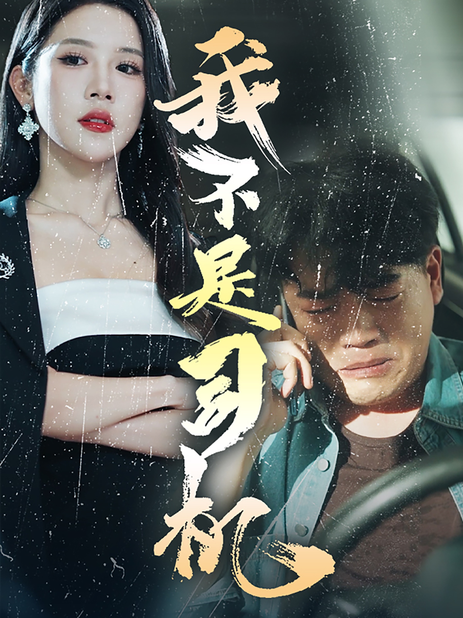 我不是司机第51集