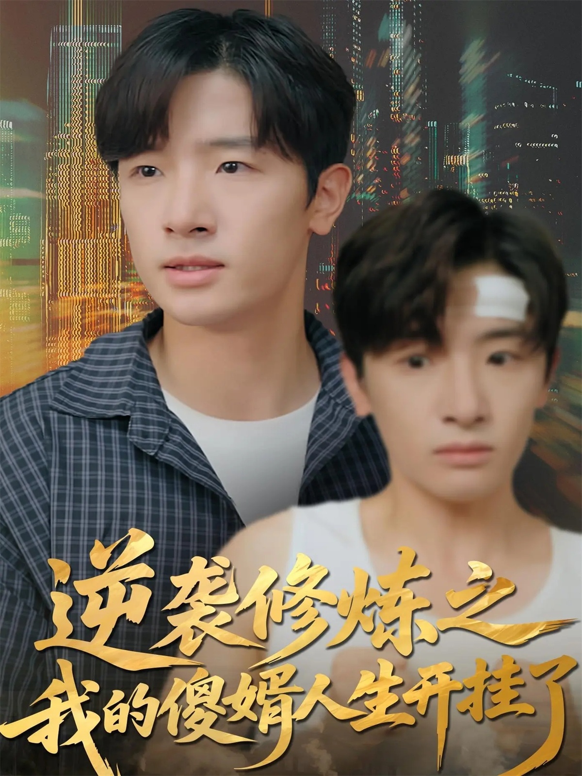 逆袭修炼之我的傻婿人生开挂了(全集)